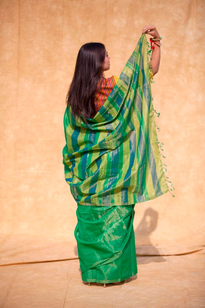 Panna Neelam Zartari Sari