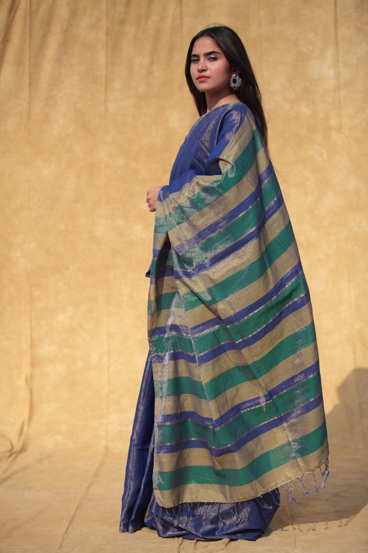 Neelam  Panna Zartari Sari